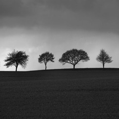 Melancholia