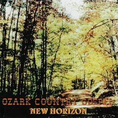 04 - New Horizon - The Healer