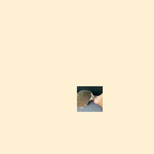 popsong3