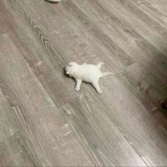 Close my eyes (Prod. Blossom)