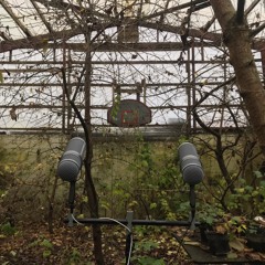 Iceland, West Fjords, November 2020, Wind Indoor