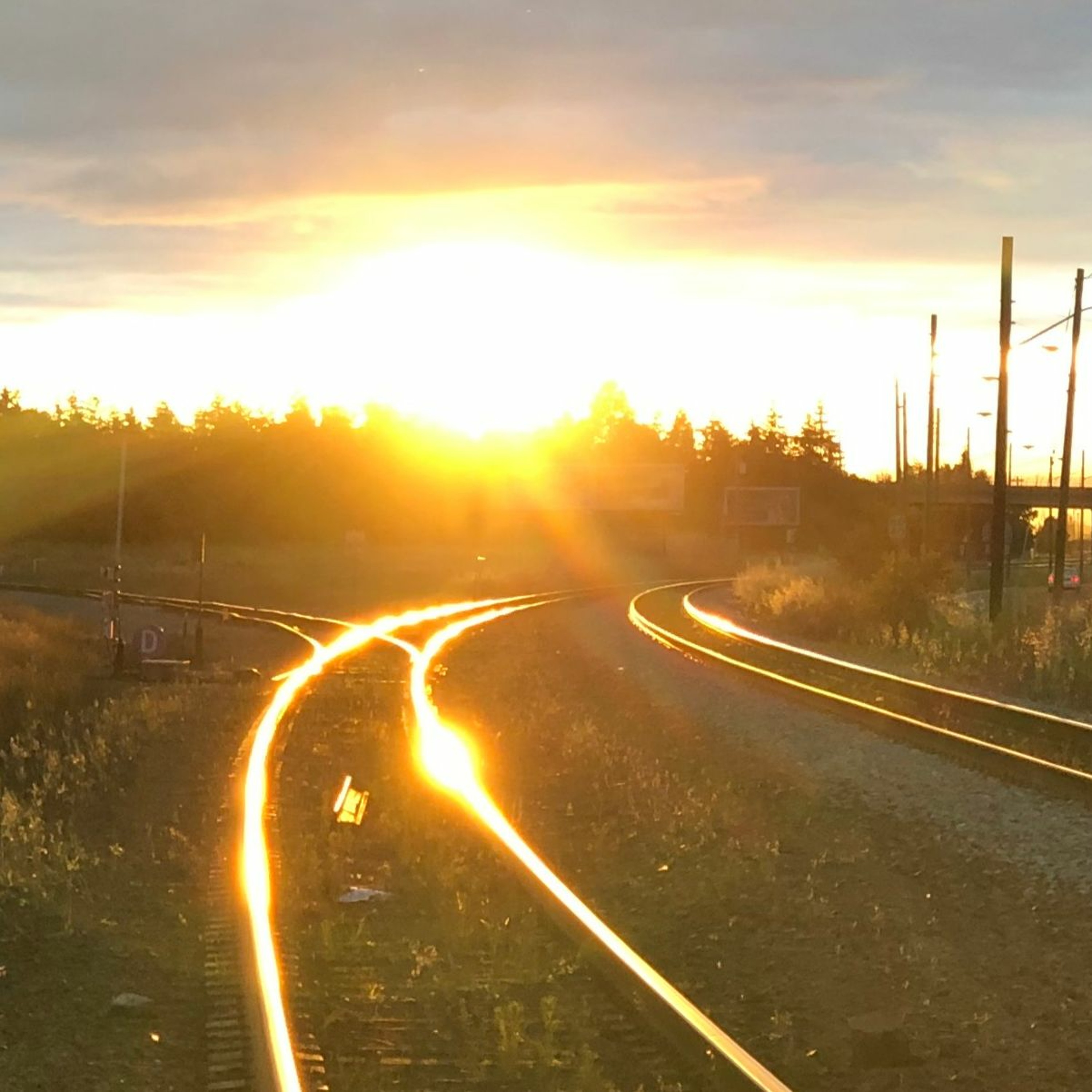 Rob Tobias: TRAIN OF THOUGHT