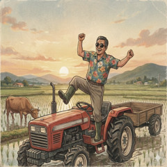 시티팝 아니고 시골팝