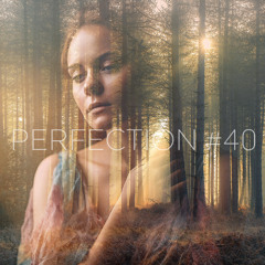 PERFECTION #40
