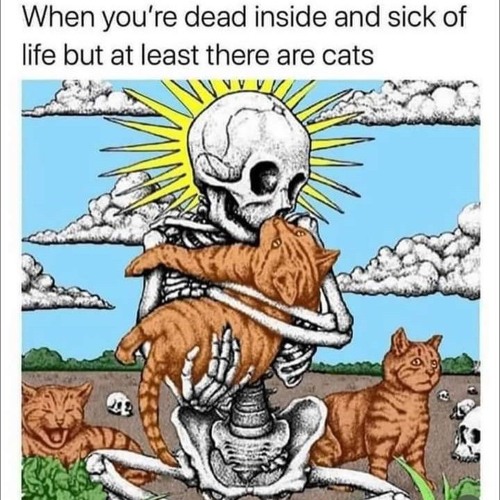 There will always be cats