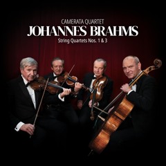 String Quartet in B-flat major, Op. 67 - Agitato (Allegretto ma non troppo)