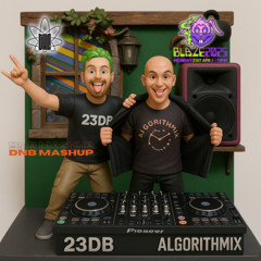THC Blaze 2025 DnB Mashup