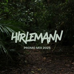 PROMO MIX 2025