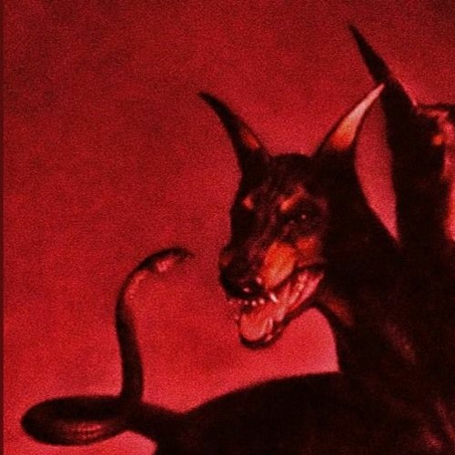 LIKEWISELUCY - Days Don't Feel The Same