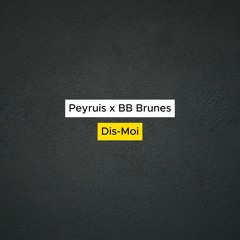 Peyruis x BB Brunes - Dis-Moi