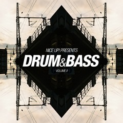 NICE UP! presents Drum & Bass Vol 2 - mixed by Shepdog