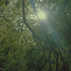 Solstice (feat. Rutvica)
