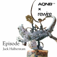 AQNB's Reversal Agents - Episode 1: Queer Temporalities with Jack Halberstam