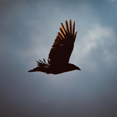 Rise