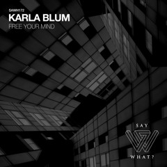 PREMIERE: Karla Blum - Free Your Mind (Alex Stein Remix) [Say What?]