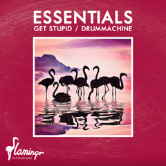 Get Stupid (Extended Mix)