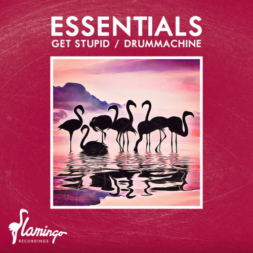 Get Stupid (Extended Mix)
