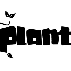 P&D In-Store 002: Paul Donton (Evasive Records)