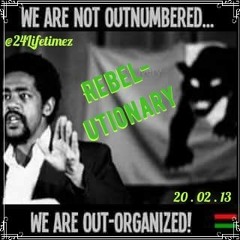 24 200213 01 - Rebelutionary