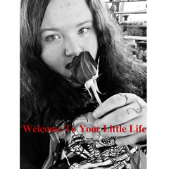 Welcome To Your Little Life