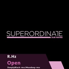 R.Hz - Open (DeeplyBlack Rmx) [Superordinate Dub Waves].aiff