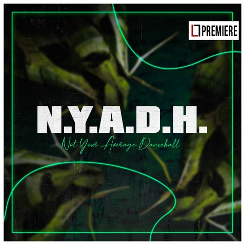 Sheik - N​.​Y​.​A​.​D​.​H (Not Your Average Dancehall) (Instrumental)