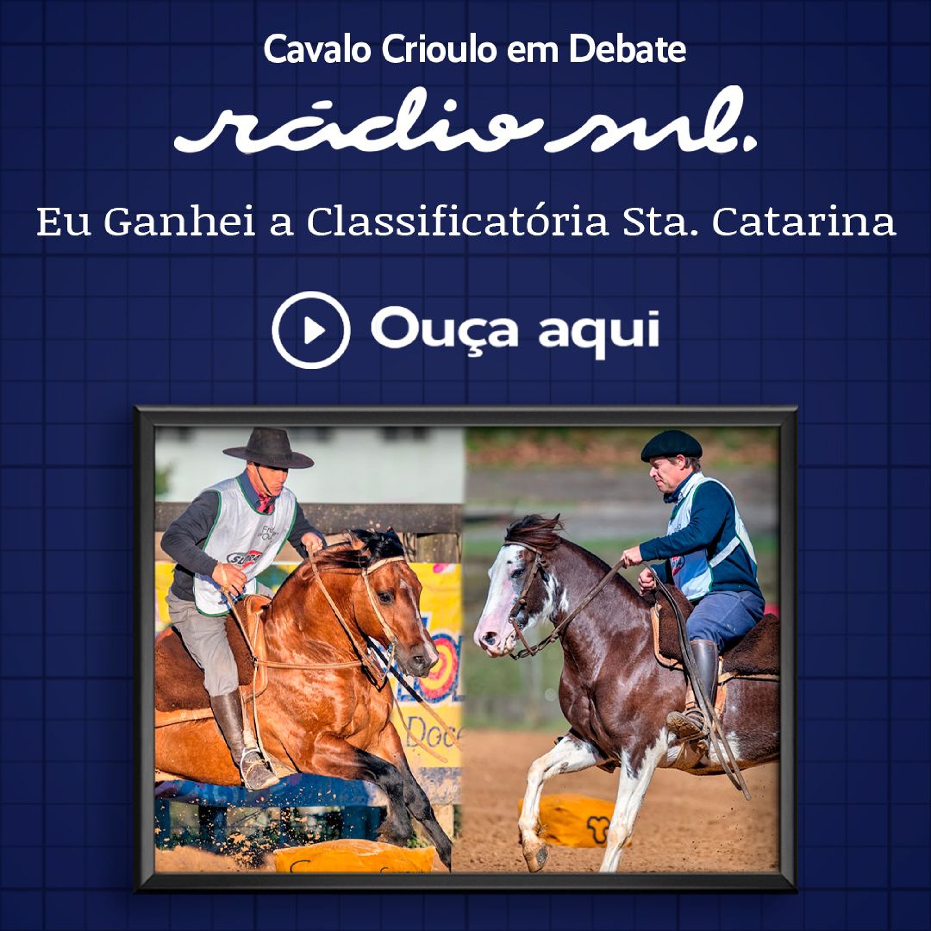 Radiosul.net