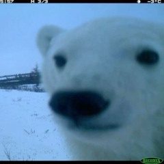 can we get a wiggle on?