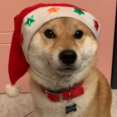 Auguri di Natale!🎄🎄 rin-deuce?