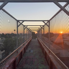 August Samples '24 (Prod. MadMan)