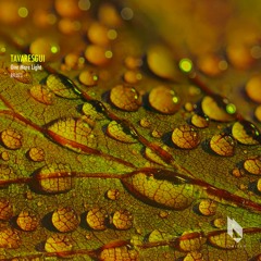 Tavaresgui - Made Of Paths (Original Mix), Beatfreak Limited