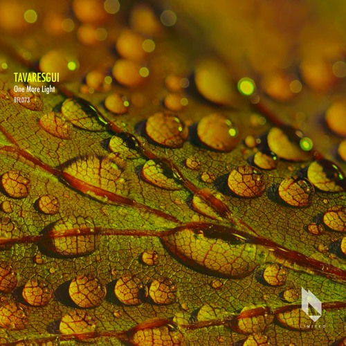 Tavaresgui - Made Of Paths (Original Mix), Beatfreak Limited