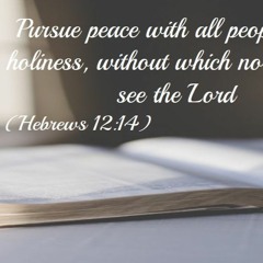 Strive For Peace And Holiness