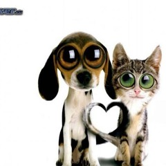 love the sound (@blingblingboi)