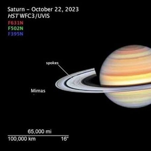 Omgh4zy - never tell [CUTECAUCASIANGK x 762 EXCLUSIVE]