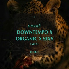 downtempo x organic x sexy