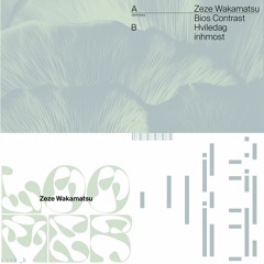 Zeze Wakamatsu - Loomer (Inhmost's Delicate Mix) [music_is]