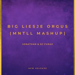 Big Liesje Orgus (MNTLL Mashup)