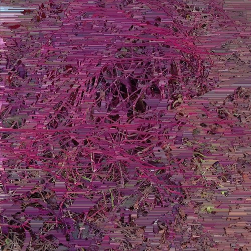 Stories from the astral plane of stability