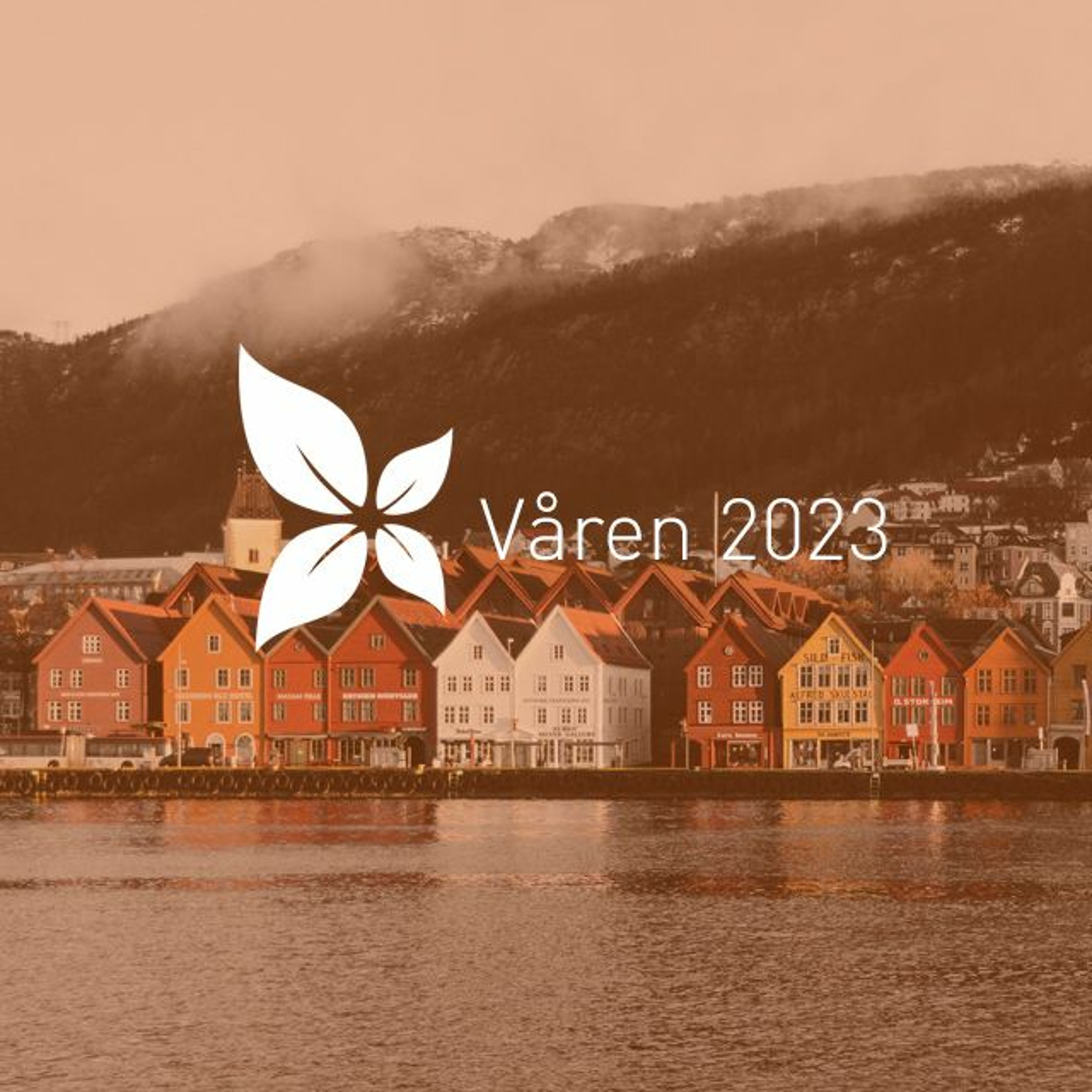 Salem Bergen