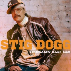 Stigidilaatio (I Like That)
