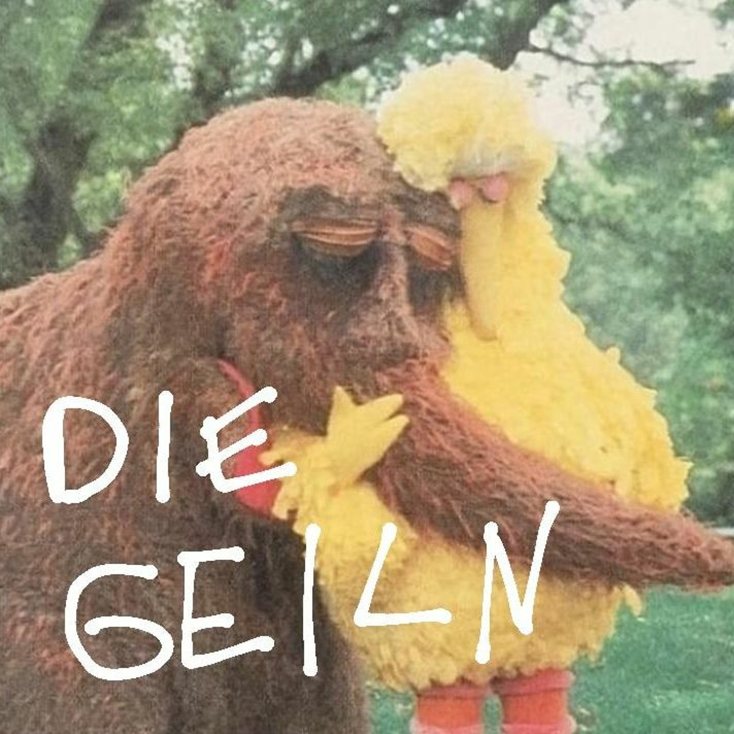 Die Geilen