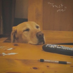 trust me (demo)(1)