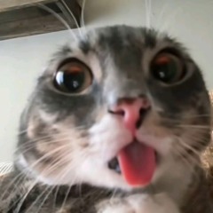 不得不爱 | Không Thể Không Yêu - DjBin - Remix