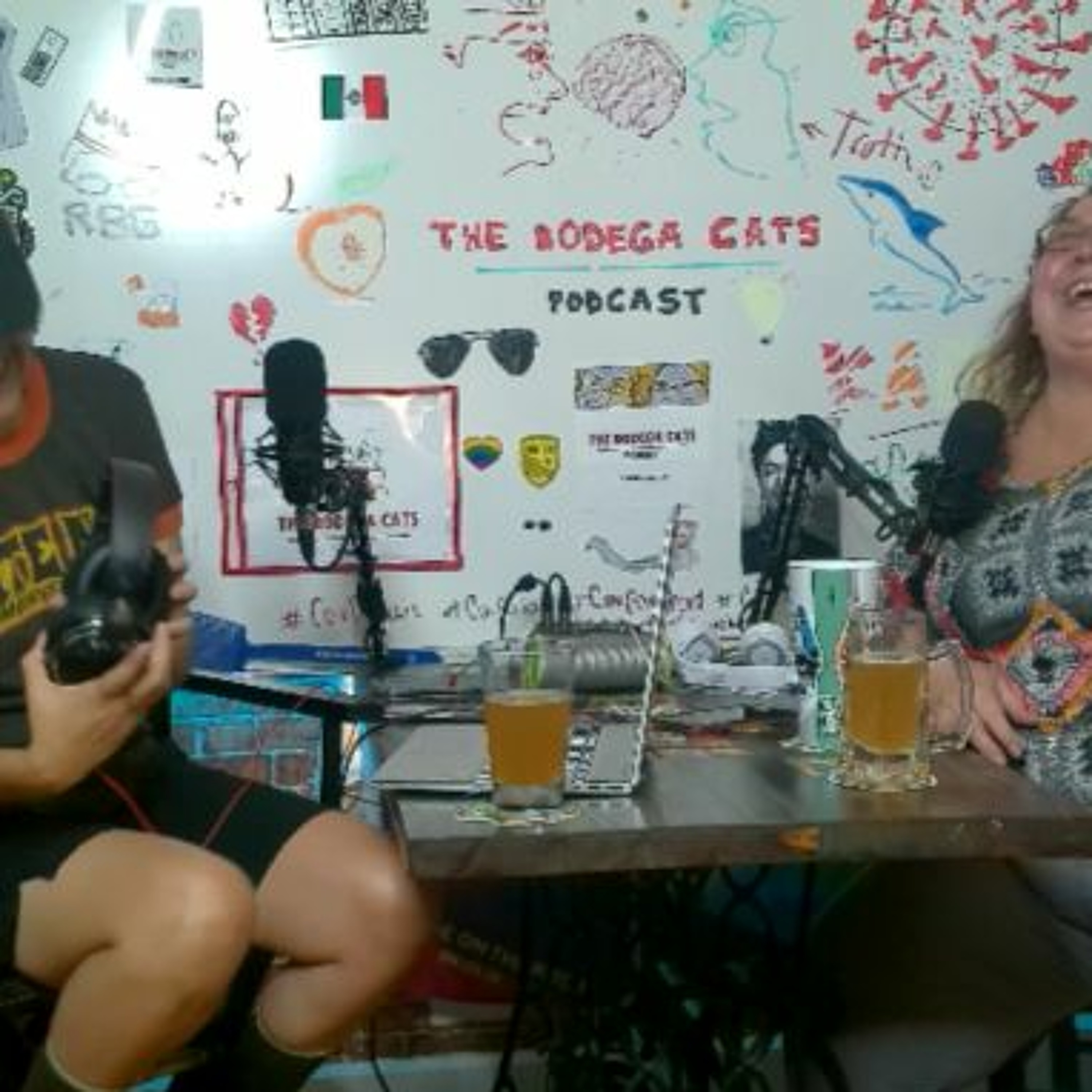 The Bodega Cats Podcast