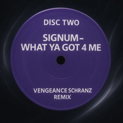 Signum - What Ya Got 4 Me (Vengeance Schranz edit) FREE DOWNLOAD