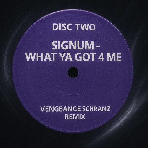 Signum - What Ya Got 4 Me (Vengeance Schranz edit) FREE DOWNLOAD