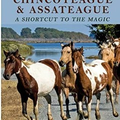 VIEW KINDLE PDF EBOOK EPUB The Traveler's Guide to Chincoteague and Assateague: A Sho