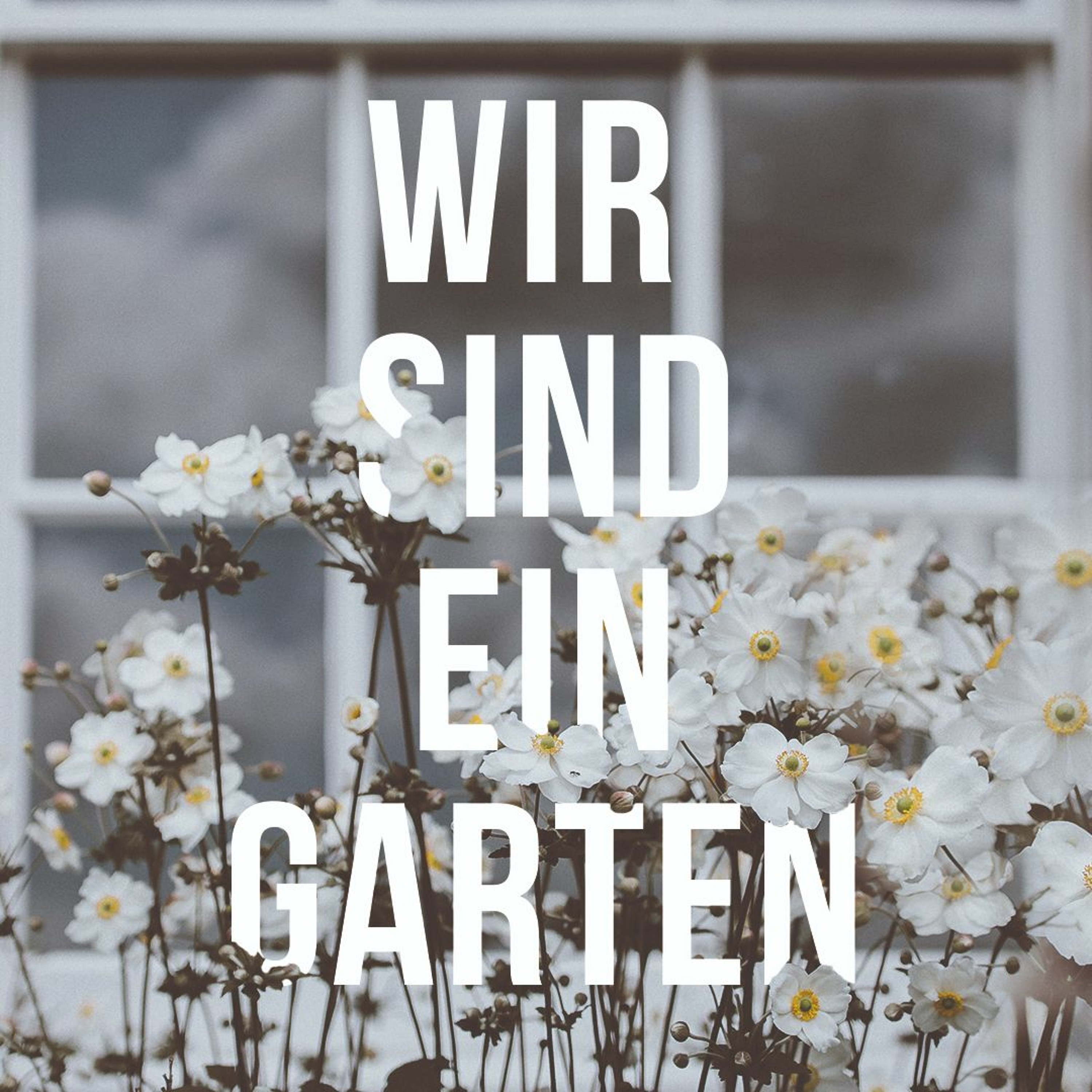 22/01/09 | Wir sind ein Garten | Dave Schnitter episode artwork