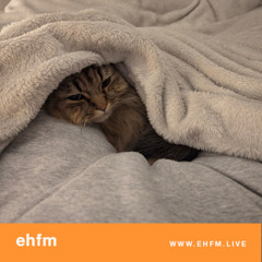 EHFM Mornings w/ Bartek - 26.02.25